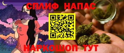 дмт Краснодар