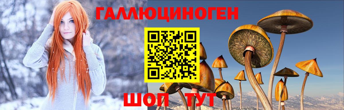 Галлюциногенные грибы MAGIC MUSHROOMS Златоуст